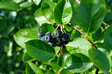 Similar image 407578