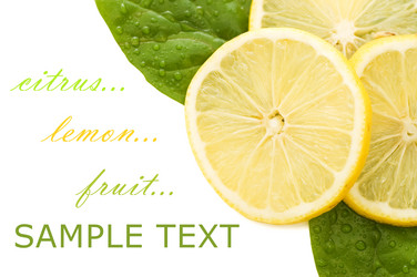 Similar image 407582