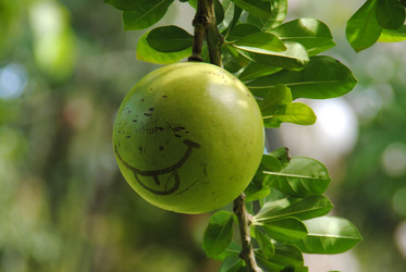 Similar image 407589