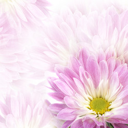 Similar image 407716