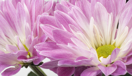 Similar image 407718