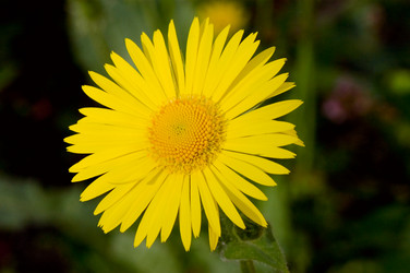 Similar image 407732