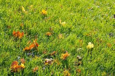 Similar image 407811