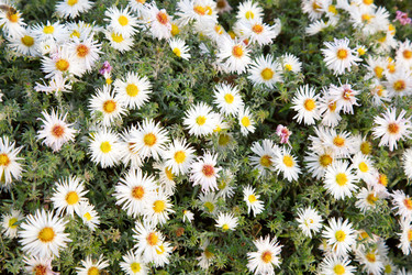 Similar image 407815