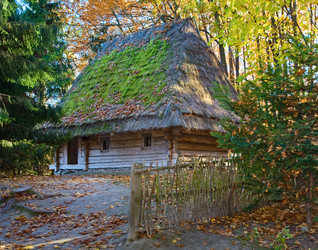 Similar image 407831