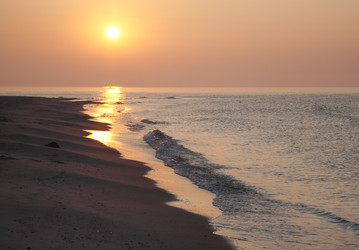 Similar image 407837