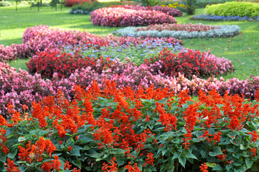 Similar image 407841