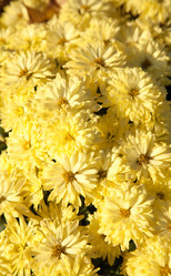 Similar image 407849