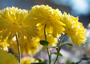 Similar image 407850