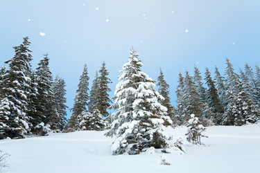 Similar image 407860