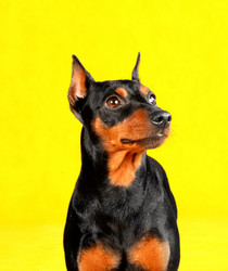 Similar image 407866