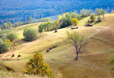 Similar image 407875