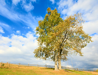 Similar image 407878