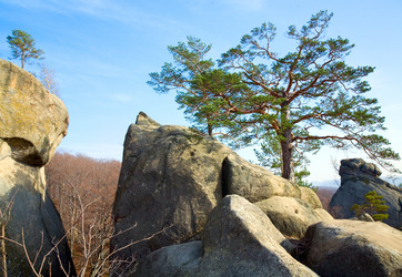 Similar image 407882