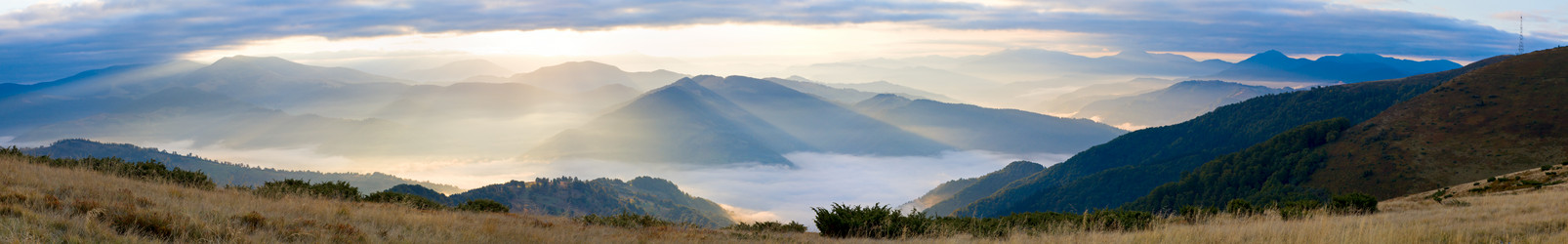 Similar image 407892