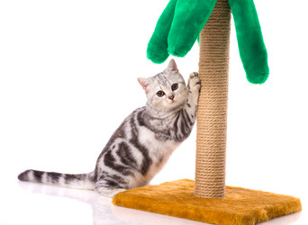 Similar image 407977