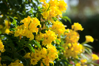 Similar image 407984