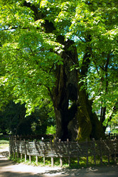 Similar image 407991