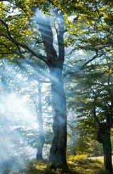 Similar image 408014