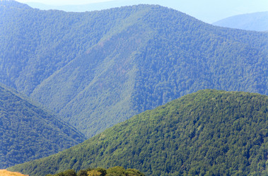 Similar image 408022