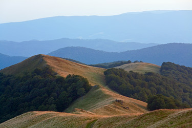 Similar image 408023