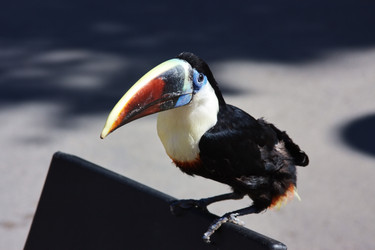 Similar image 408059