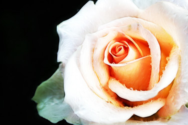 Similar image 408078