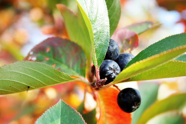 Similar image 408095