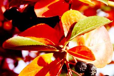 Similar image 408098