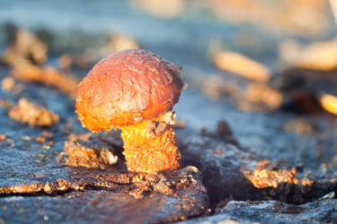 Similar image 408163