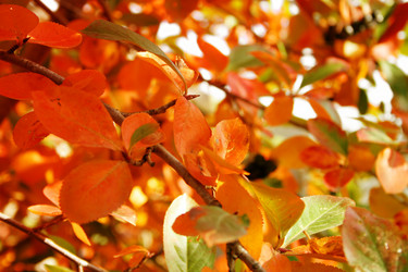 Similar image 408166