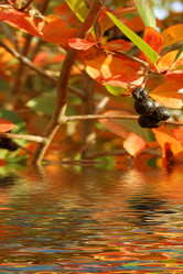 Similar image 408171