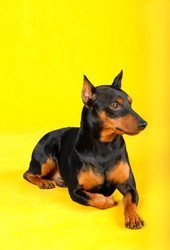 Similar image 408179