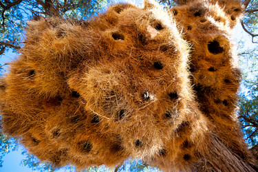 Similar image 408187