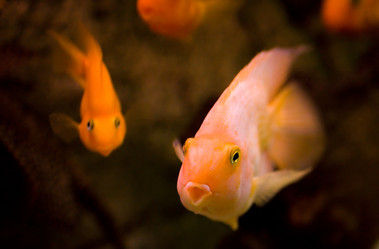 Similar image 408229