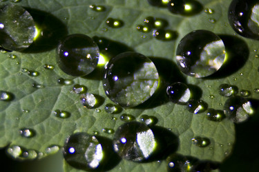 Similar image 408241