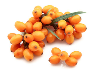 Similar image 408297