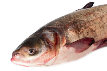 Similar image 408309