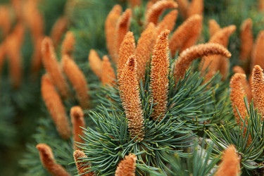 Similar image 408324