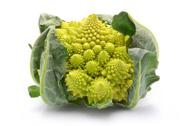 Similar image 408343