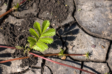 Similar image 408375