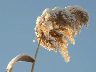 Similar image 408389