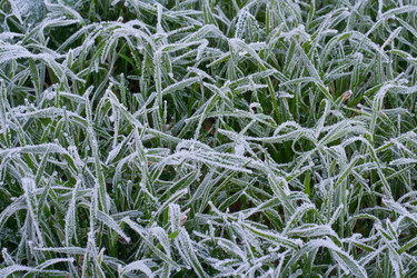 Similar image 408393