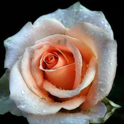 Similar image 408458