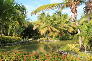 Similar image 408472