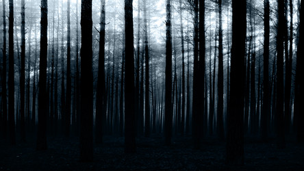 Similar image 408485