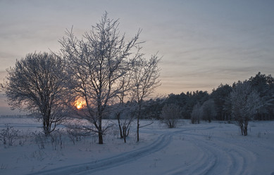 Similar image 408567