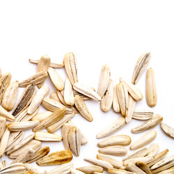 Similar image 408608