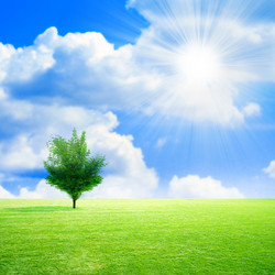 Similar image 408633