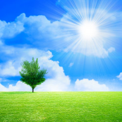 Similar image 408637